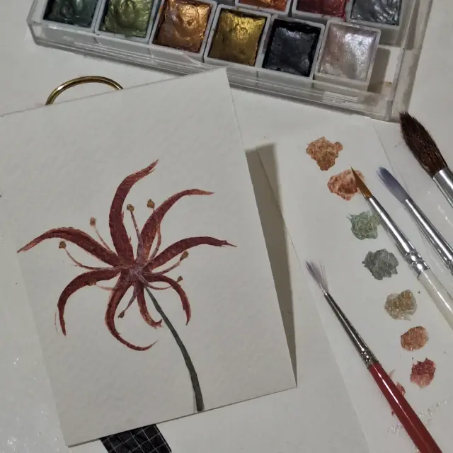 Spider Lily