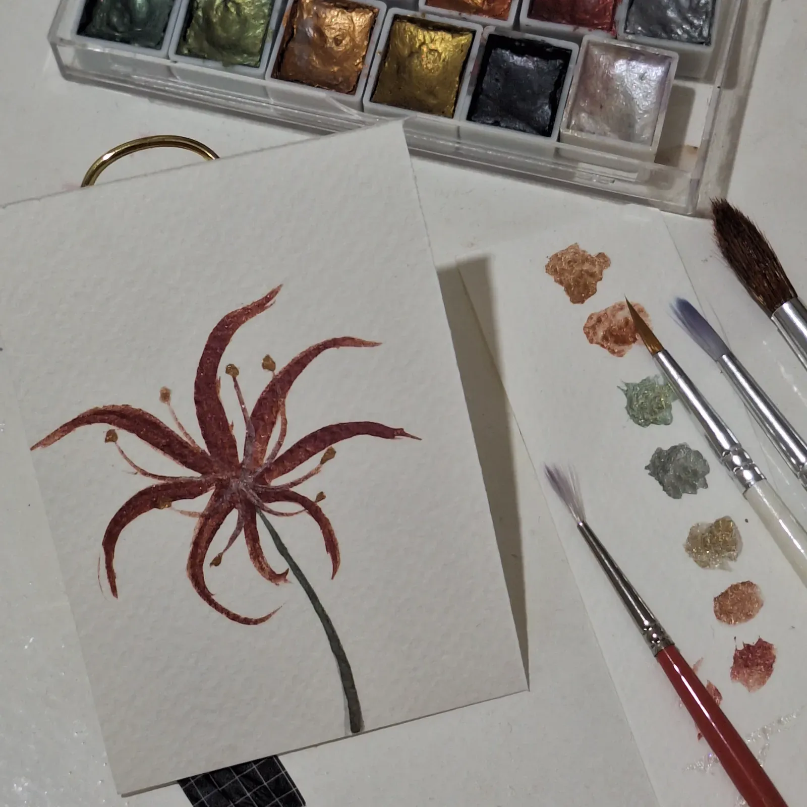 Spider Lily