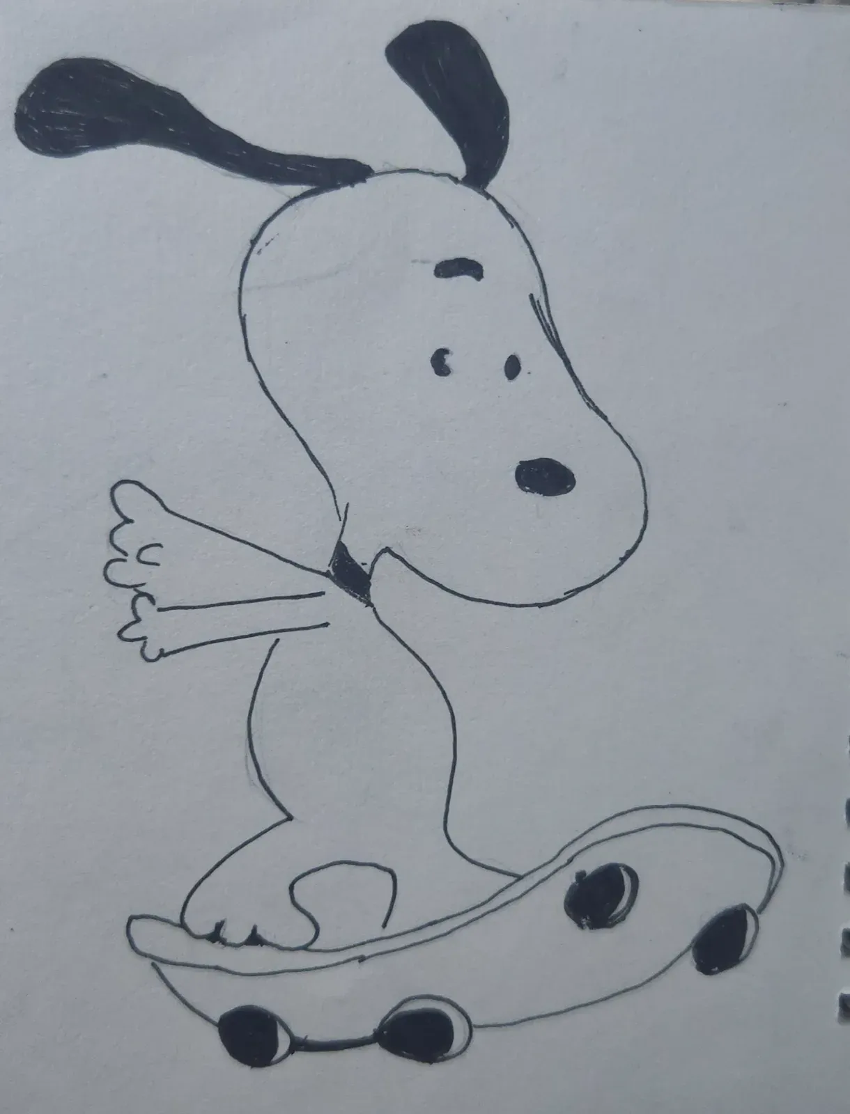 Snoopy on skateboard