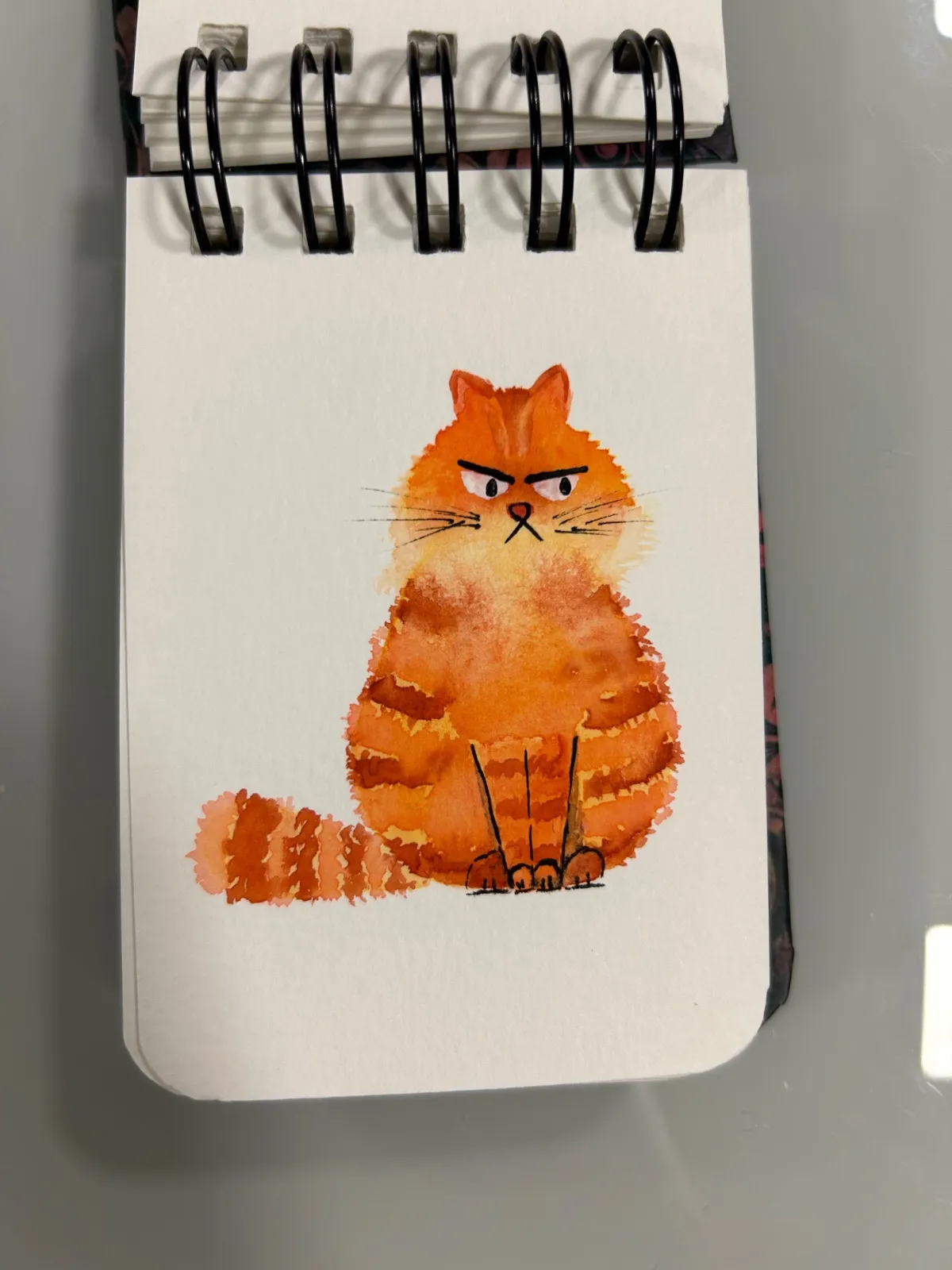 Angry cat