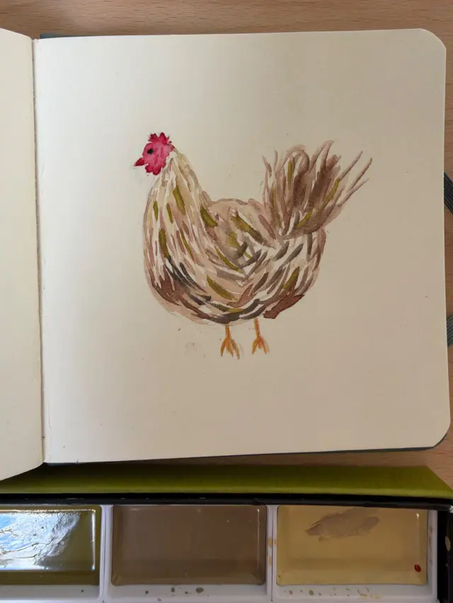 Chicken
