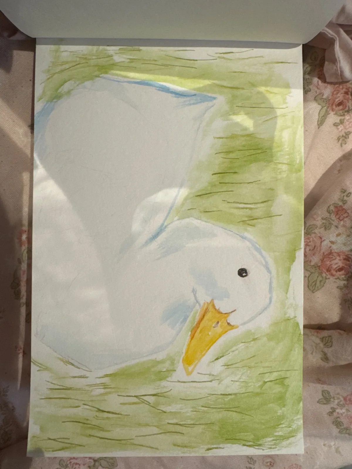 Duck