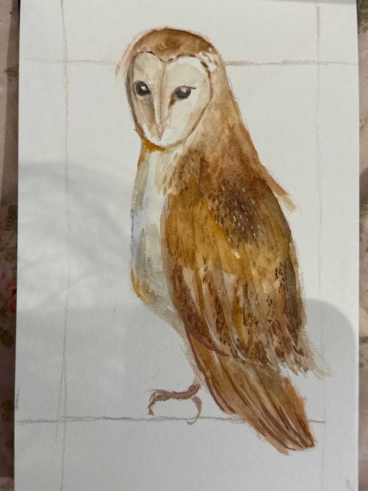 Owl