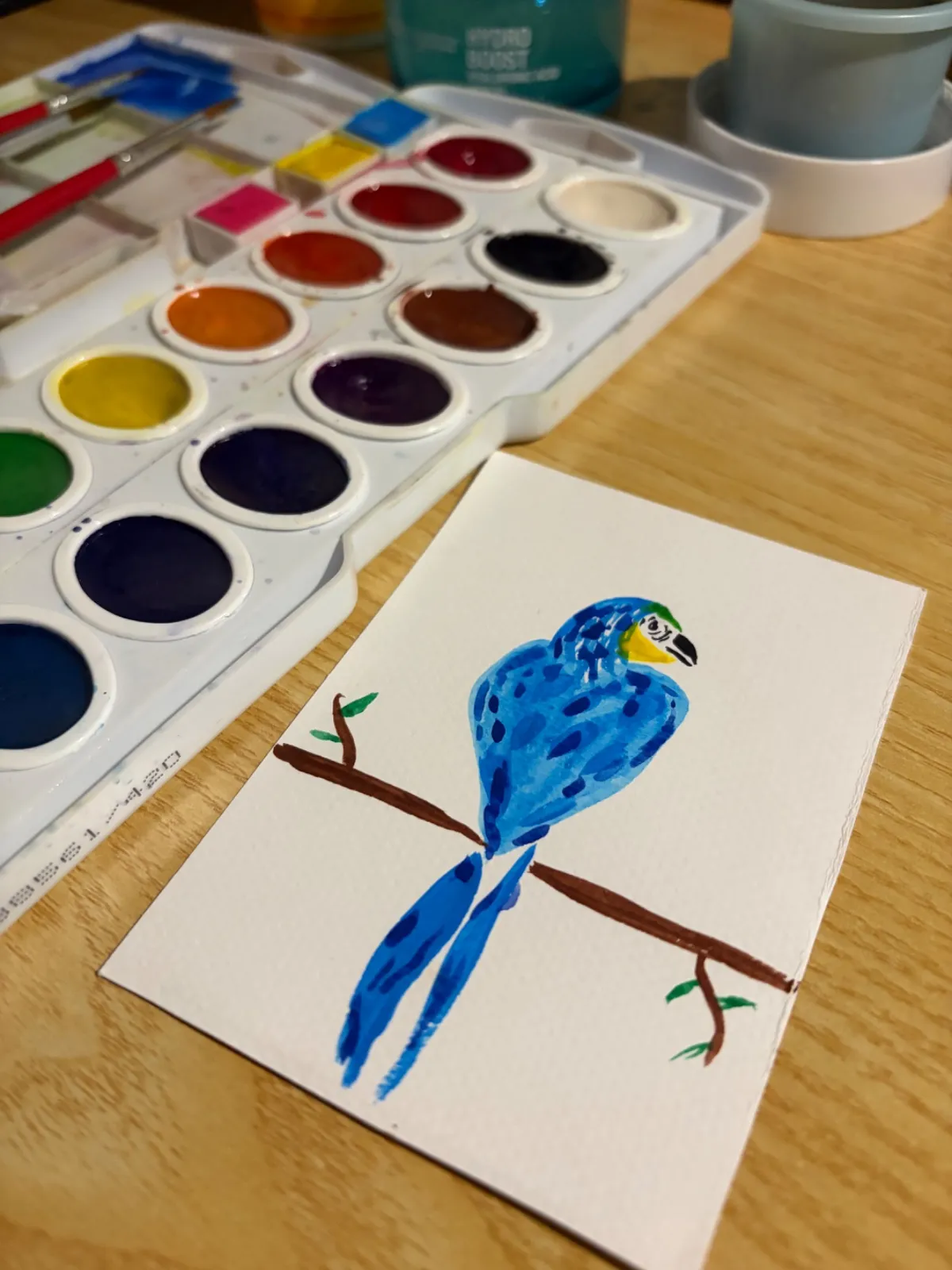 Little Parrot