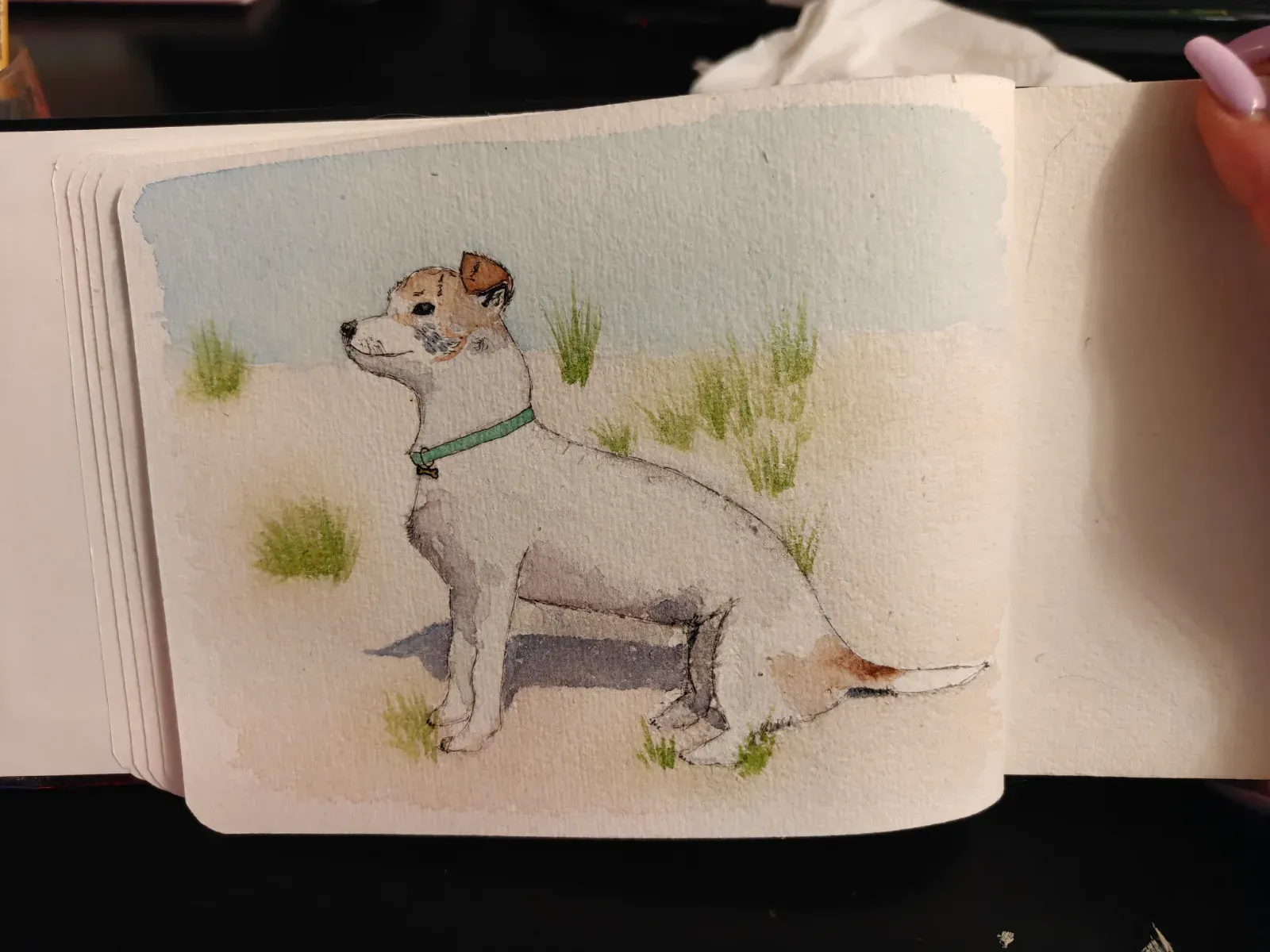 Dog on a beach