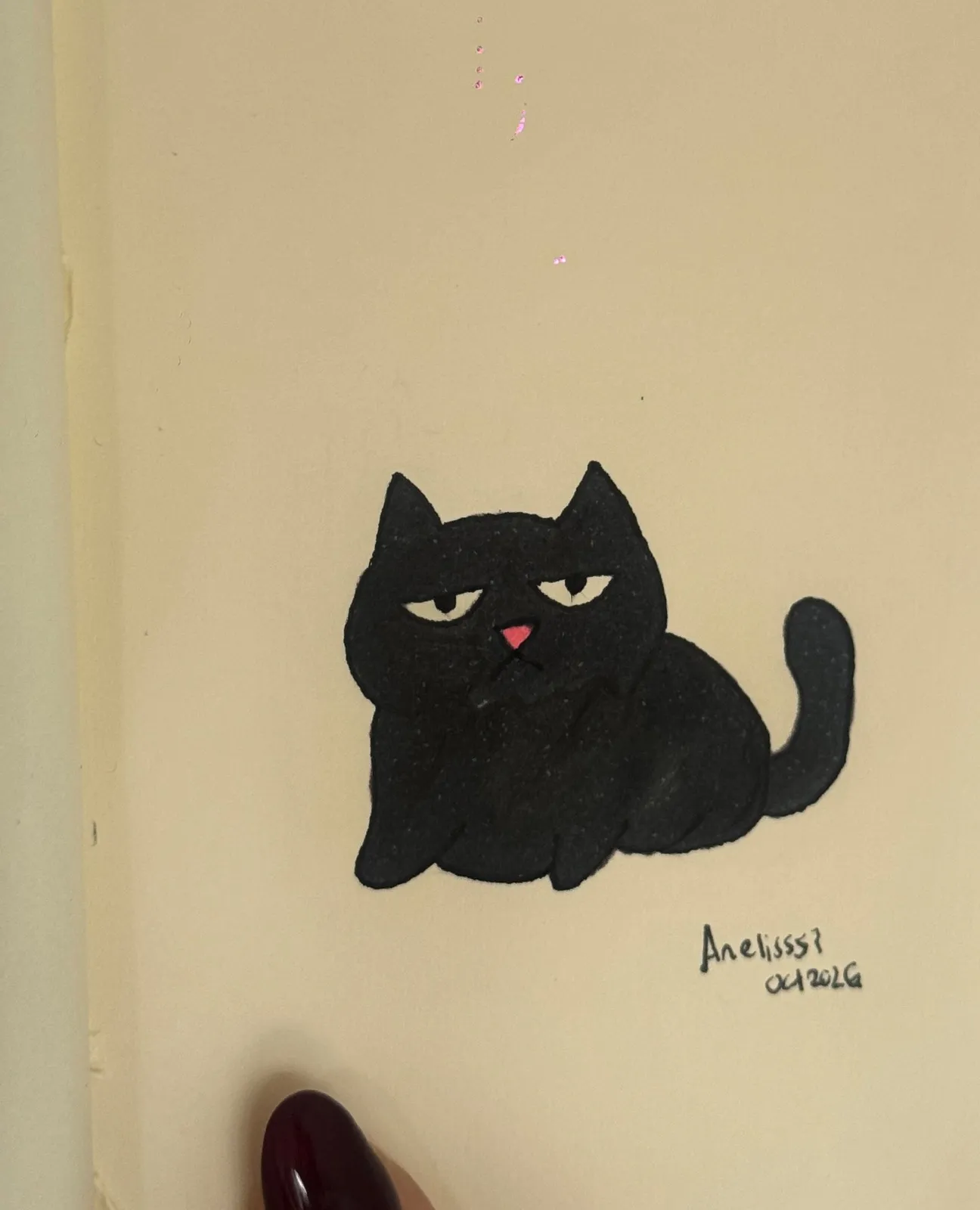 Angry cat