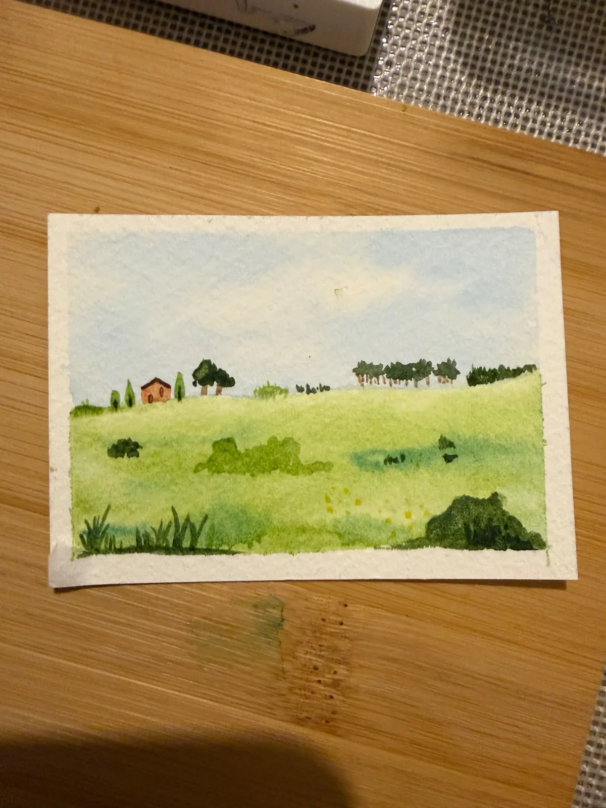 Tiny landscape