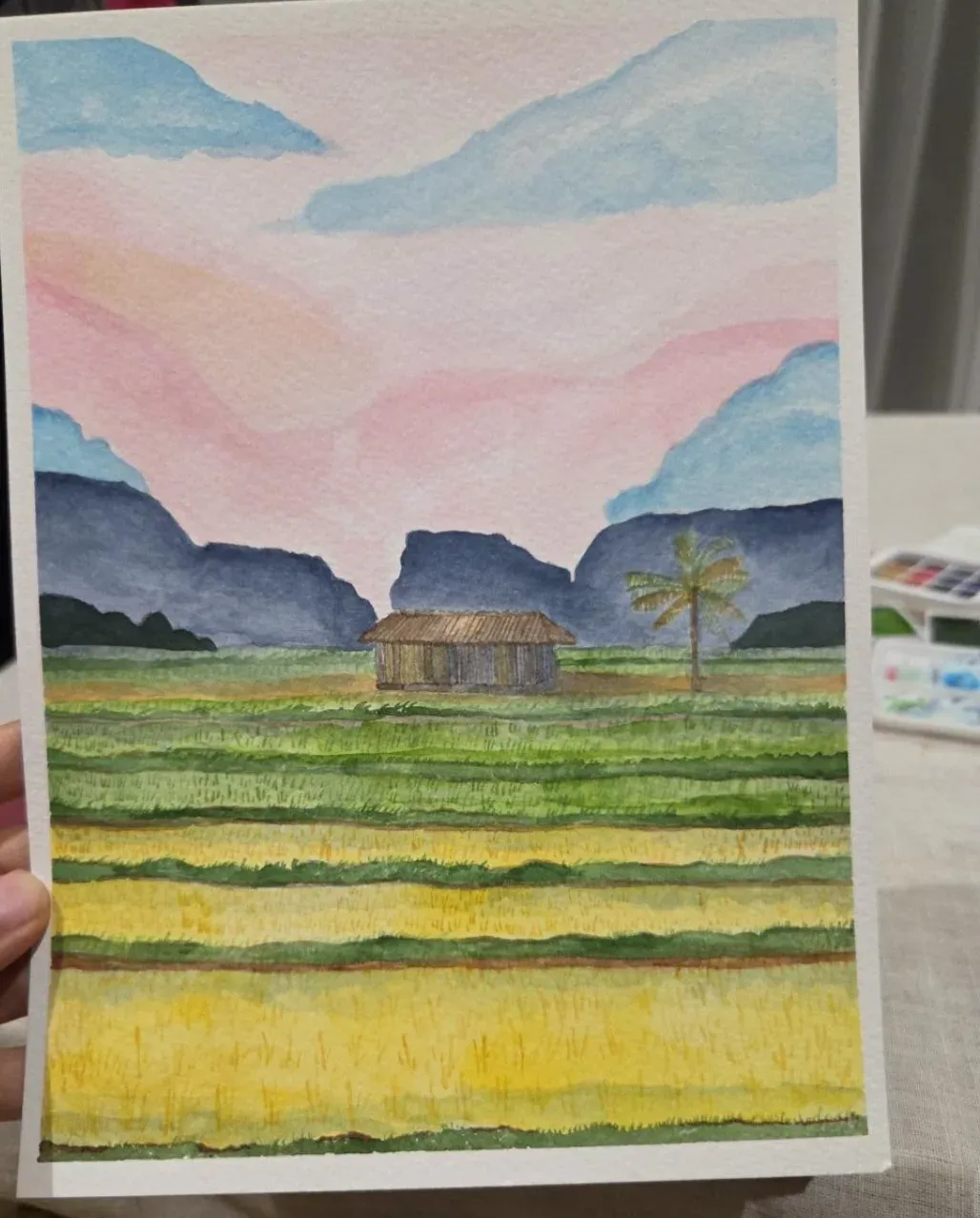Paddy fields