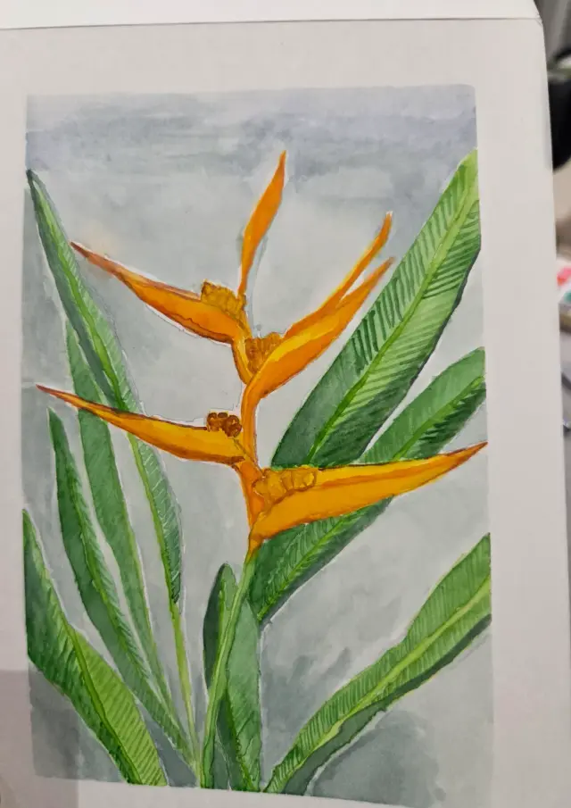 Flower front