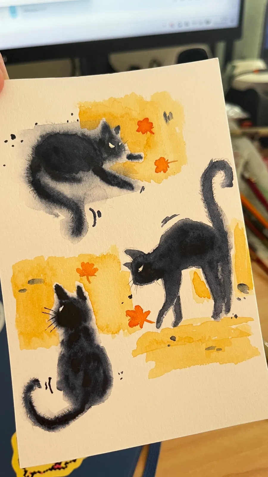 sulky cat