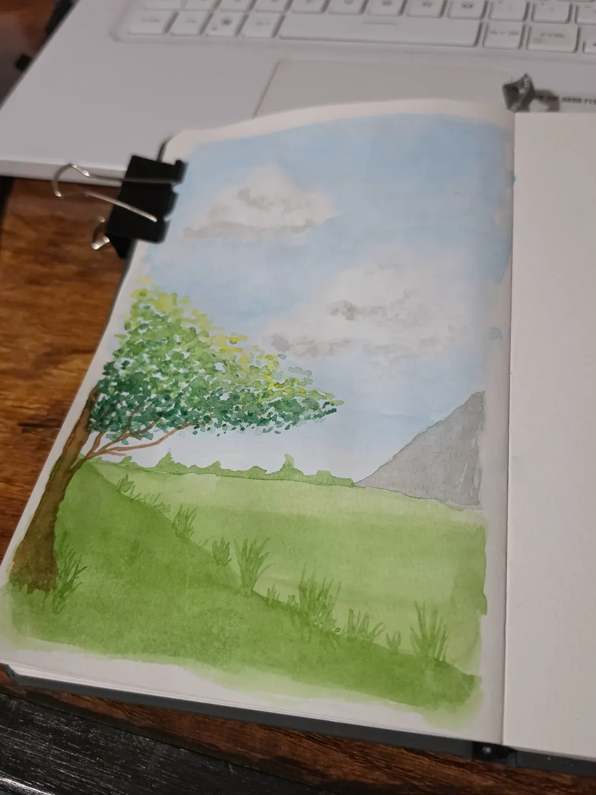landscape