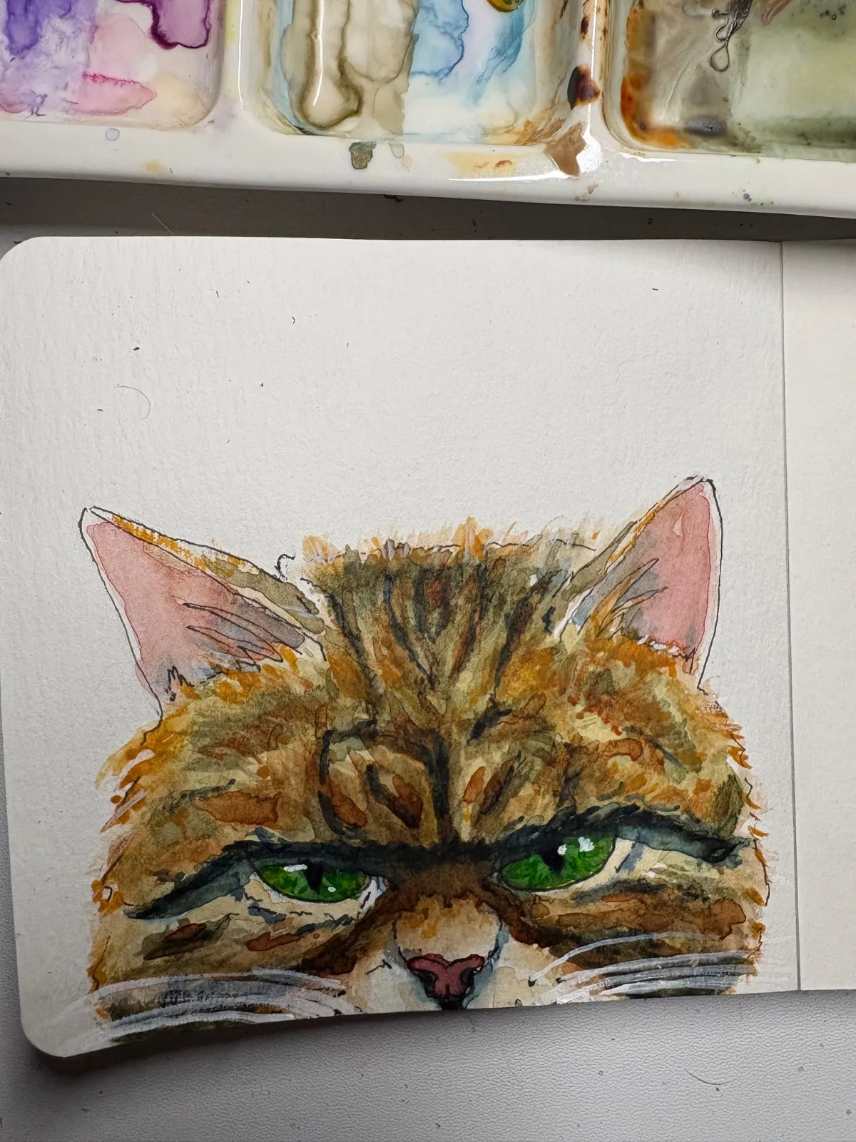 When Dinner Is Two Minutes Late (Angry Cat)