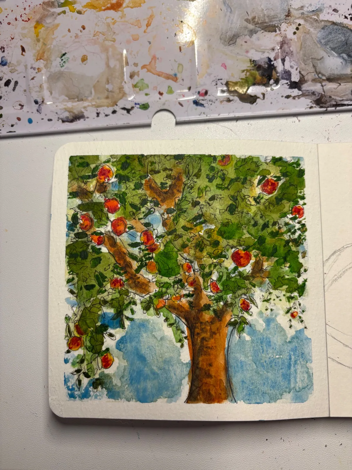 Apple Tree