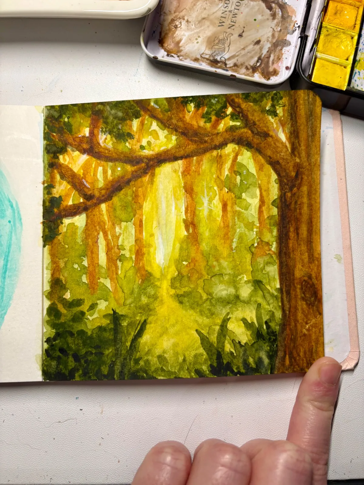 Nature Park
