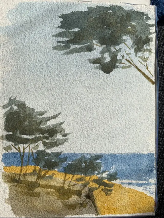 Cypress on the cliff