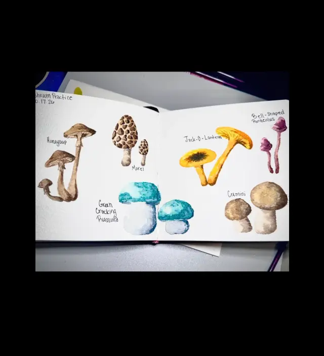 Mushroom Practice