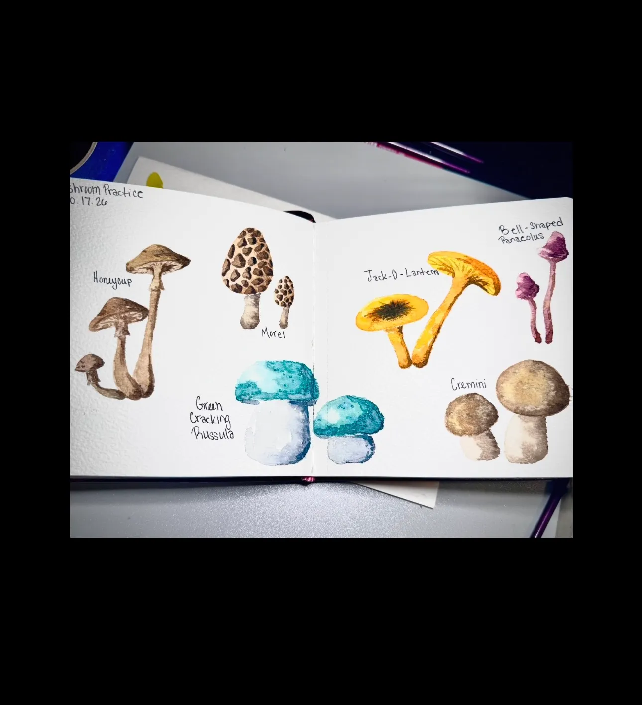 Mushroom Practice