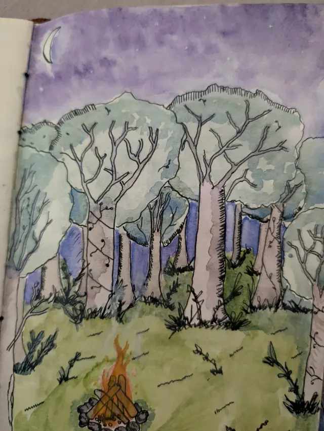 Forest campfire