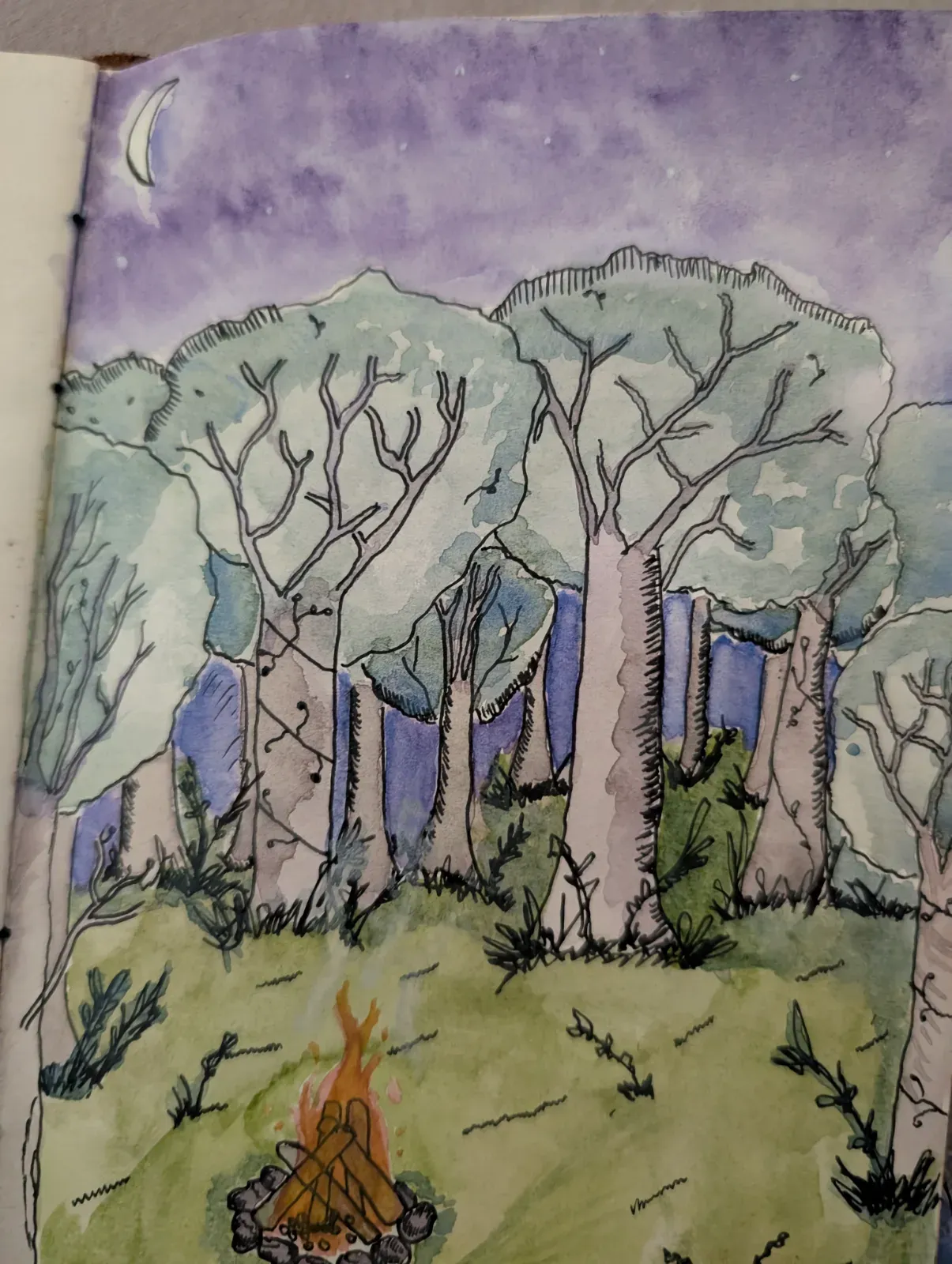 Forest campfire