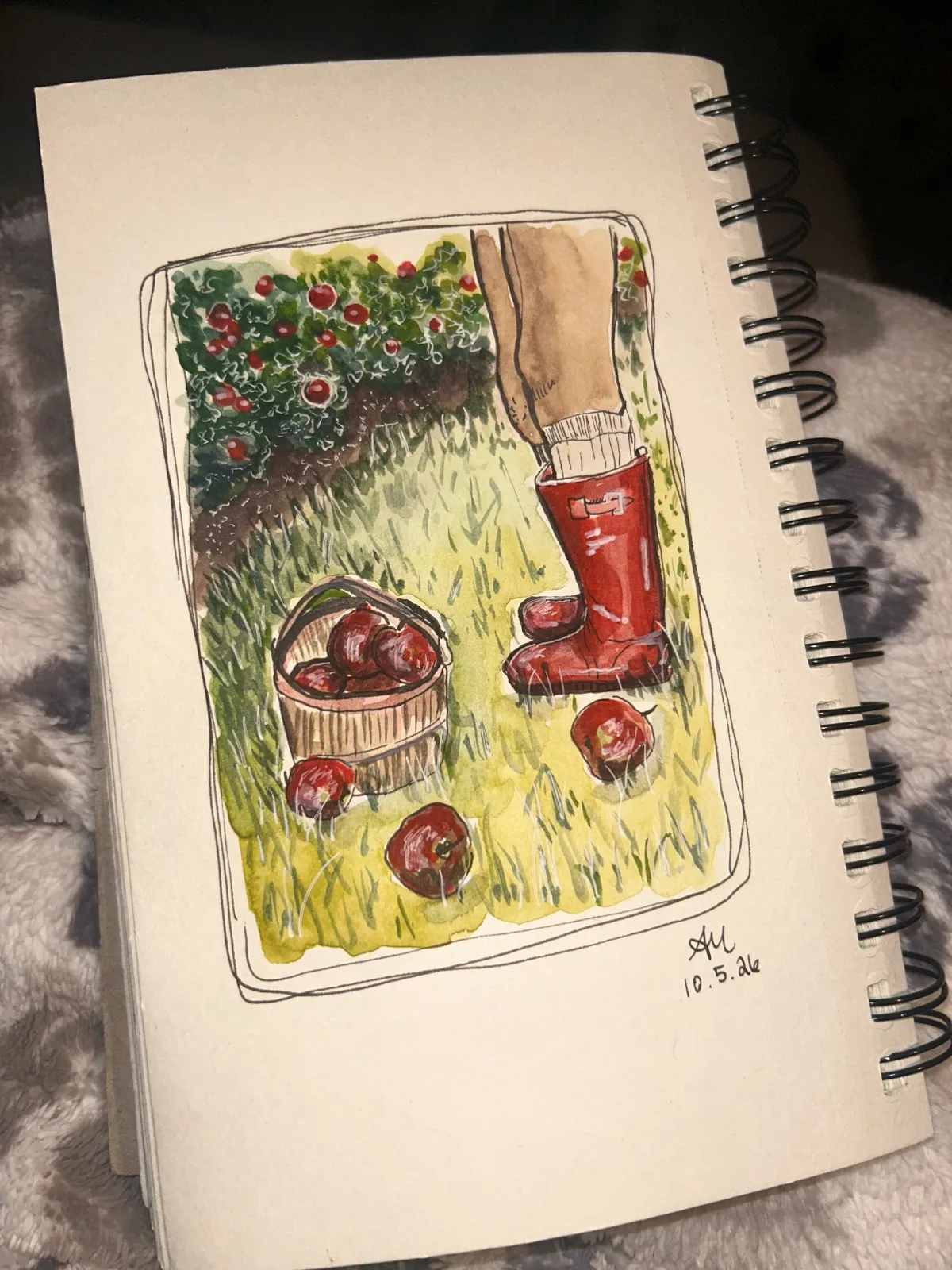 Apple Harvest 🍎