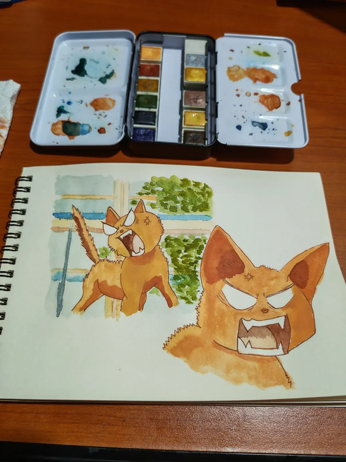 15 - Angry cat