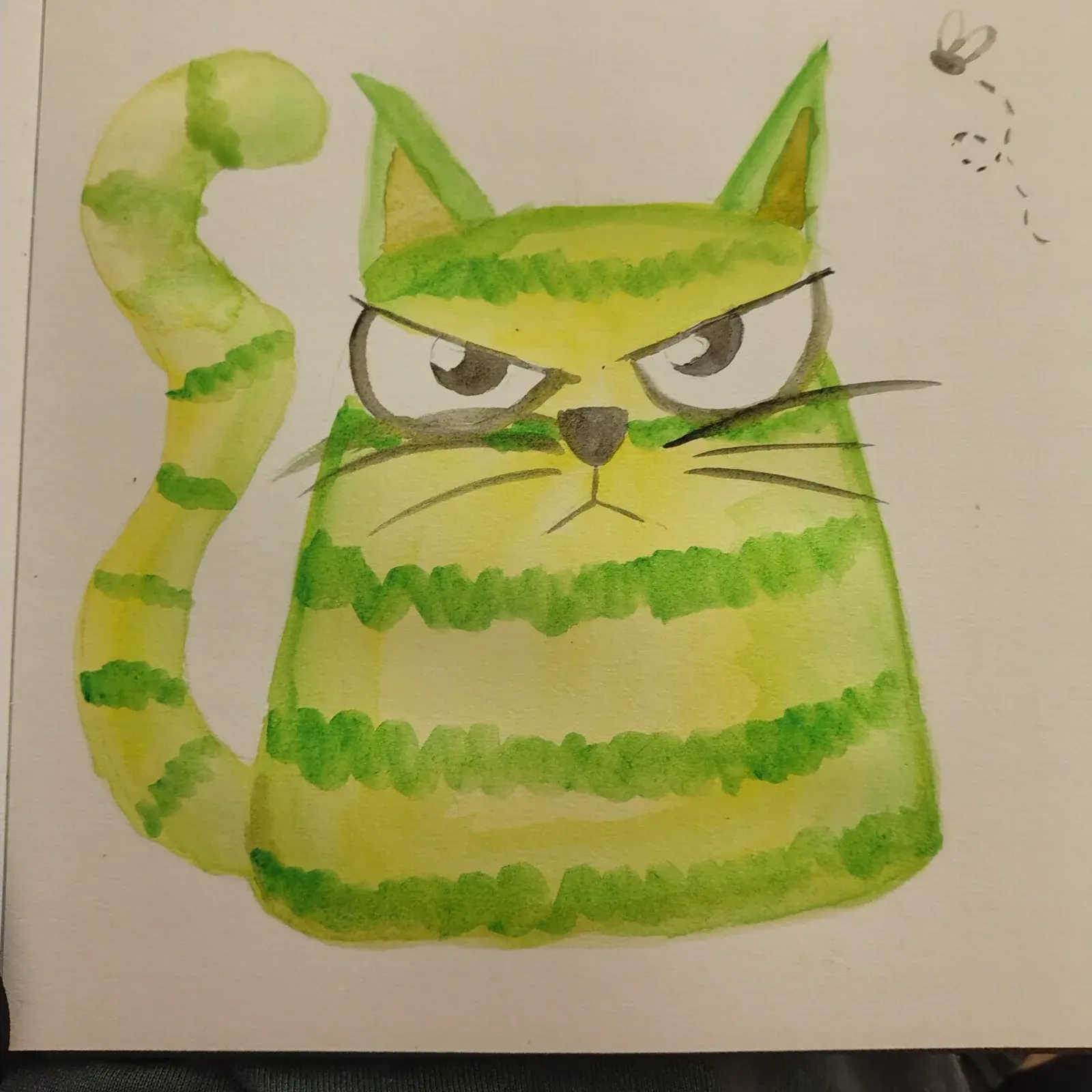 Angry cat