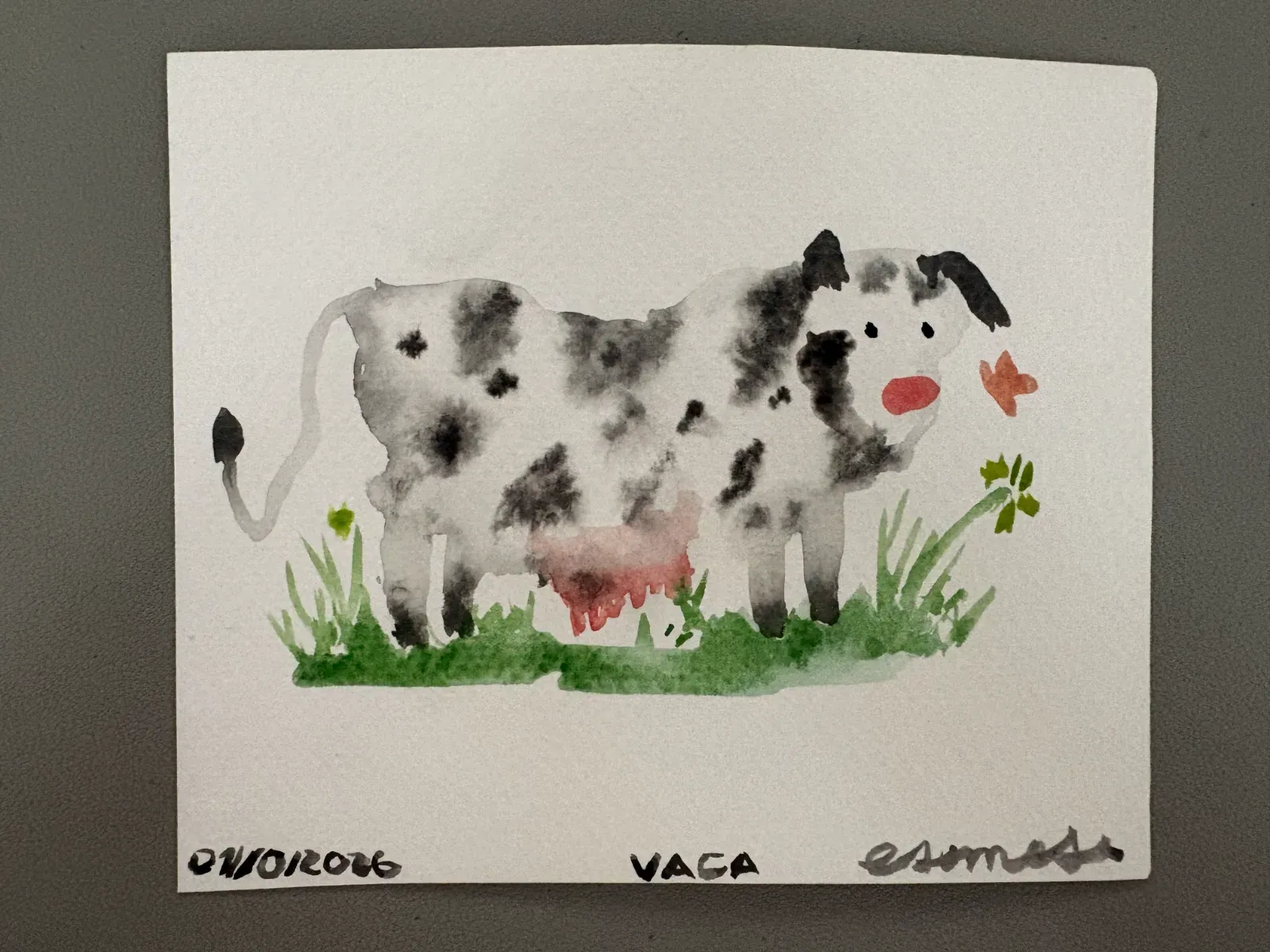 Cow Vaca
