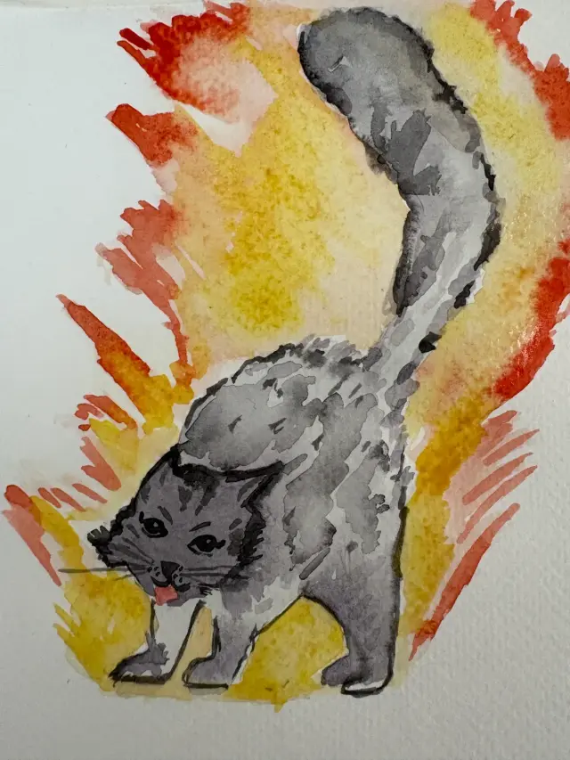 Gato furioso