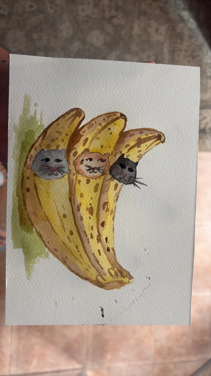 Catnanas