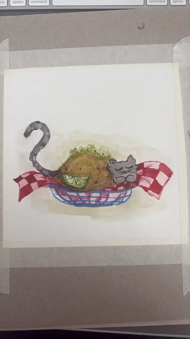 Catos de Nacasta