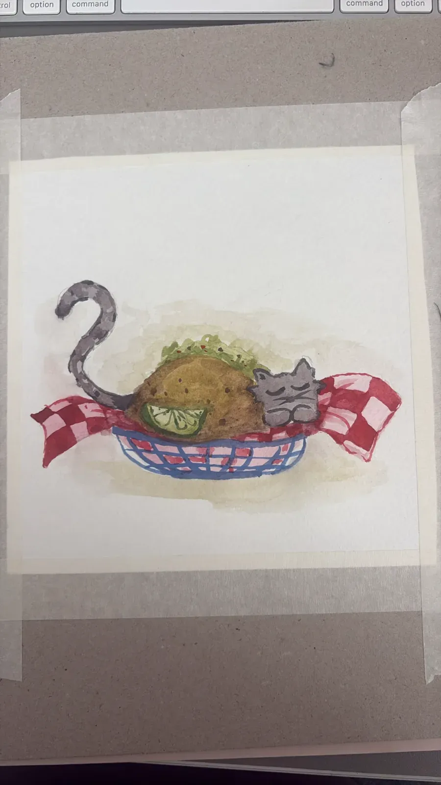 Catos de Nacasta