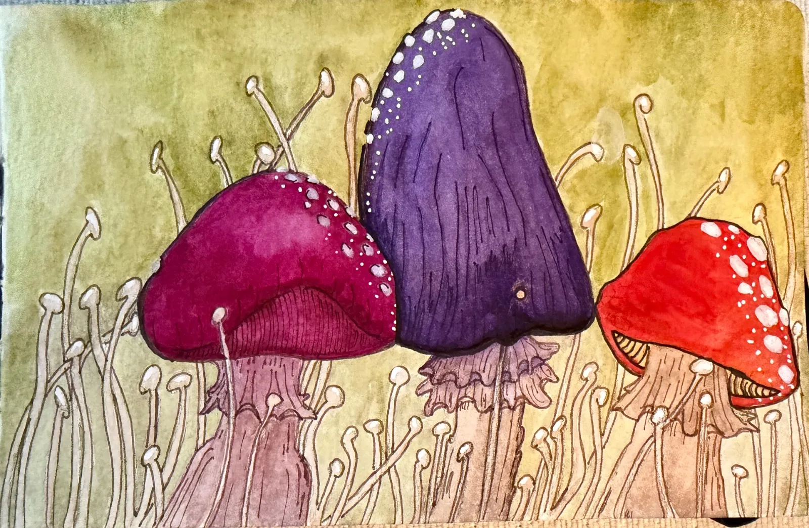 Enchanted Mushrooms Forest