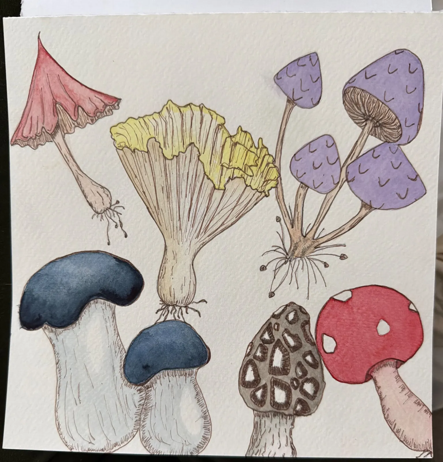 Mushroom Study