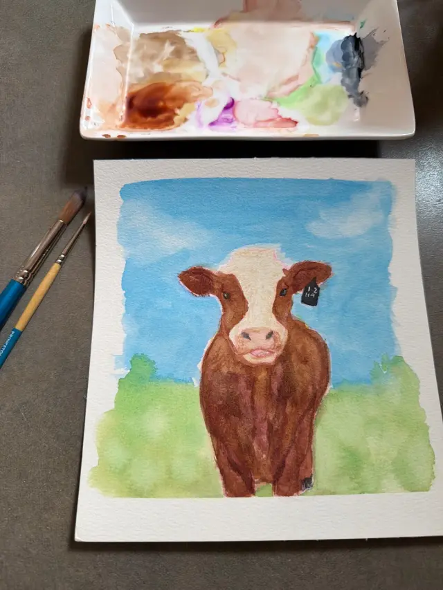 Cow