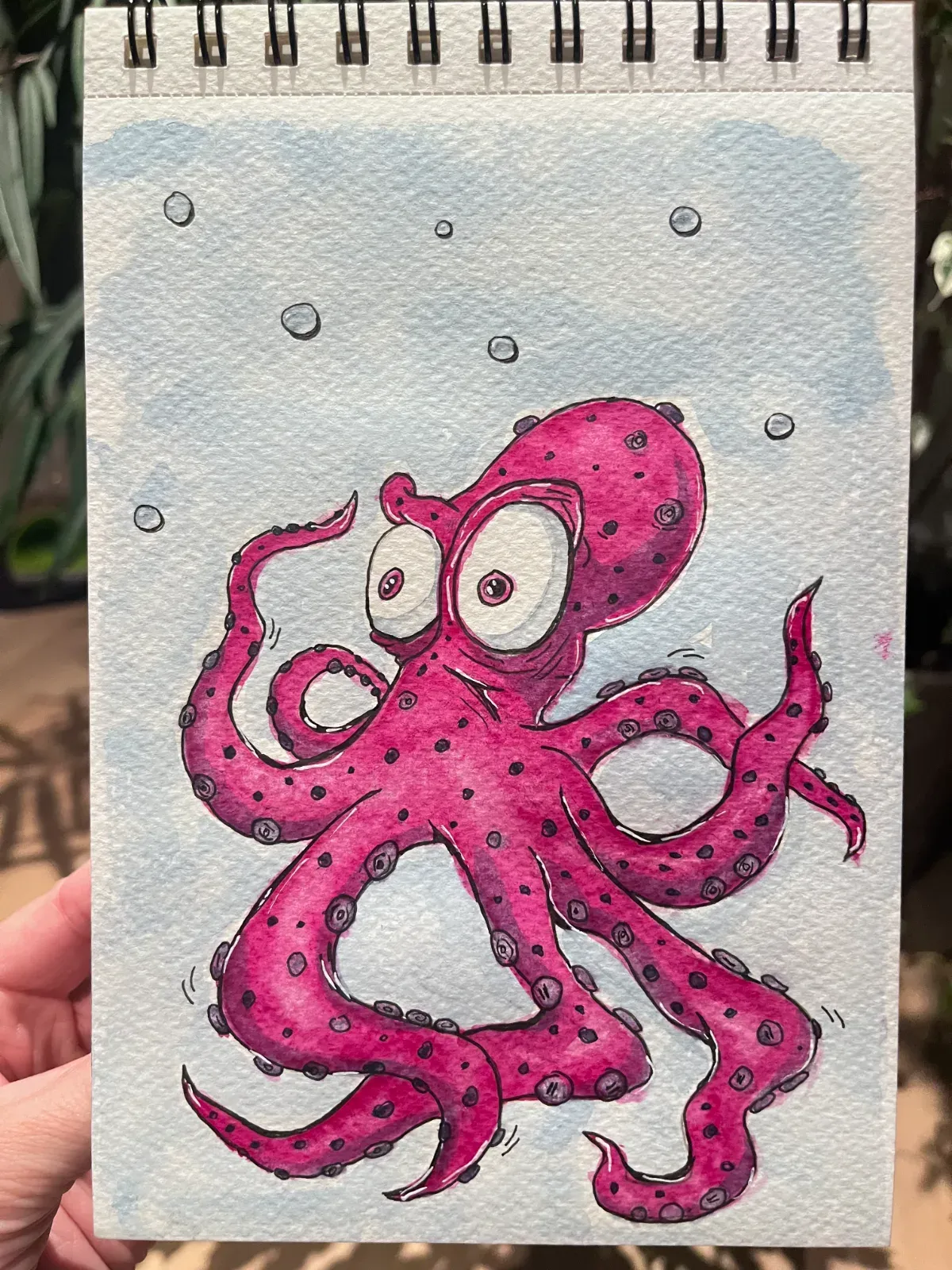 Octopuses 🐙