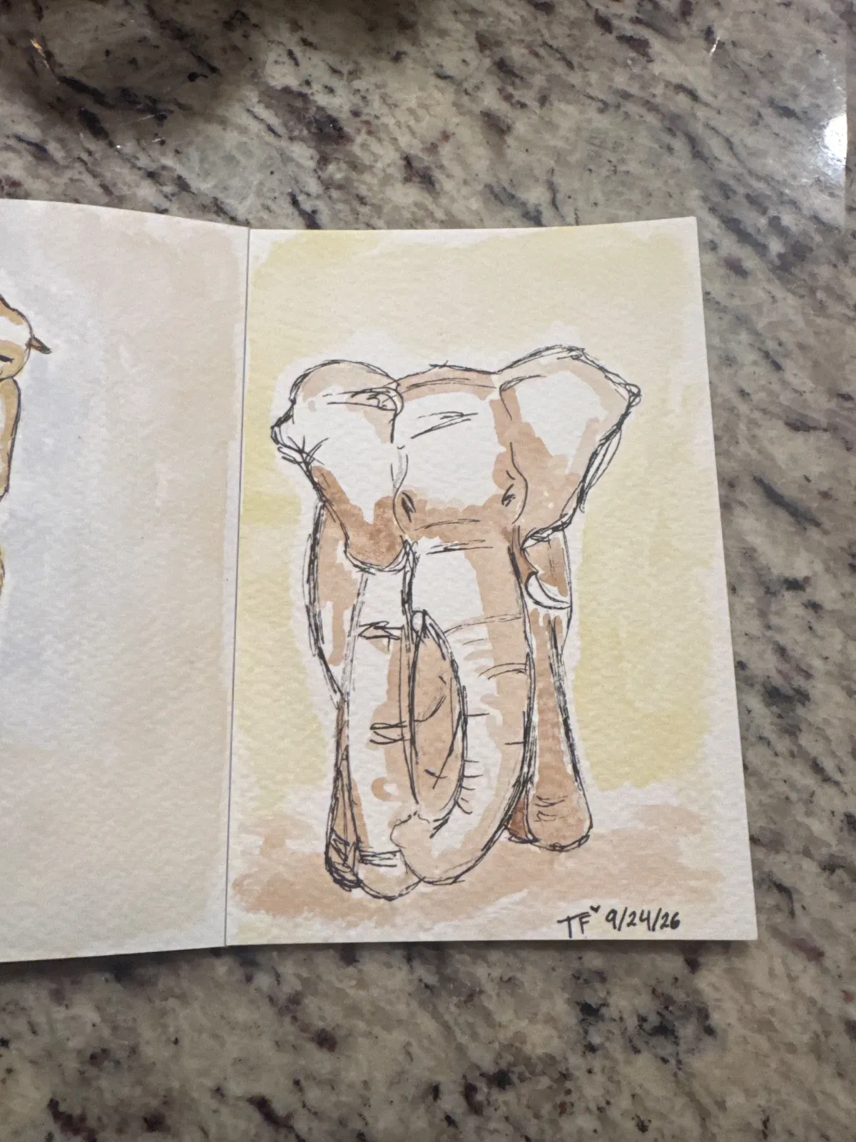 Elephant