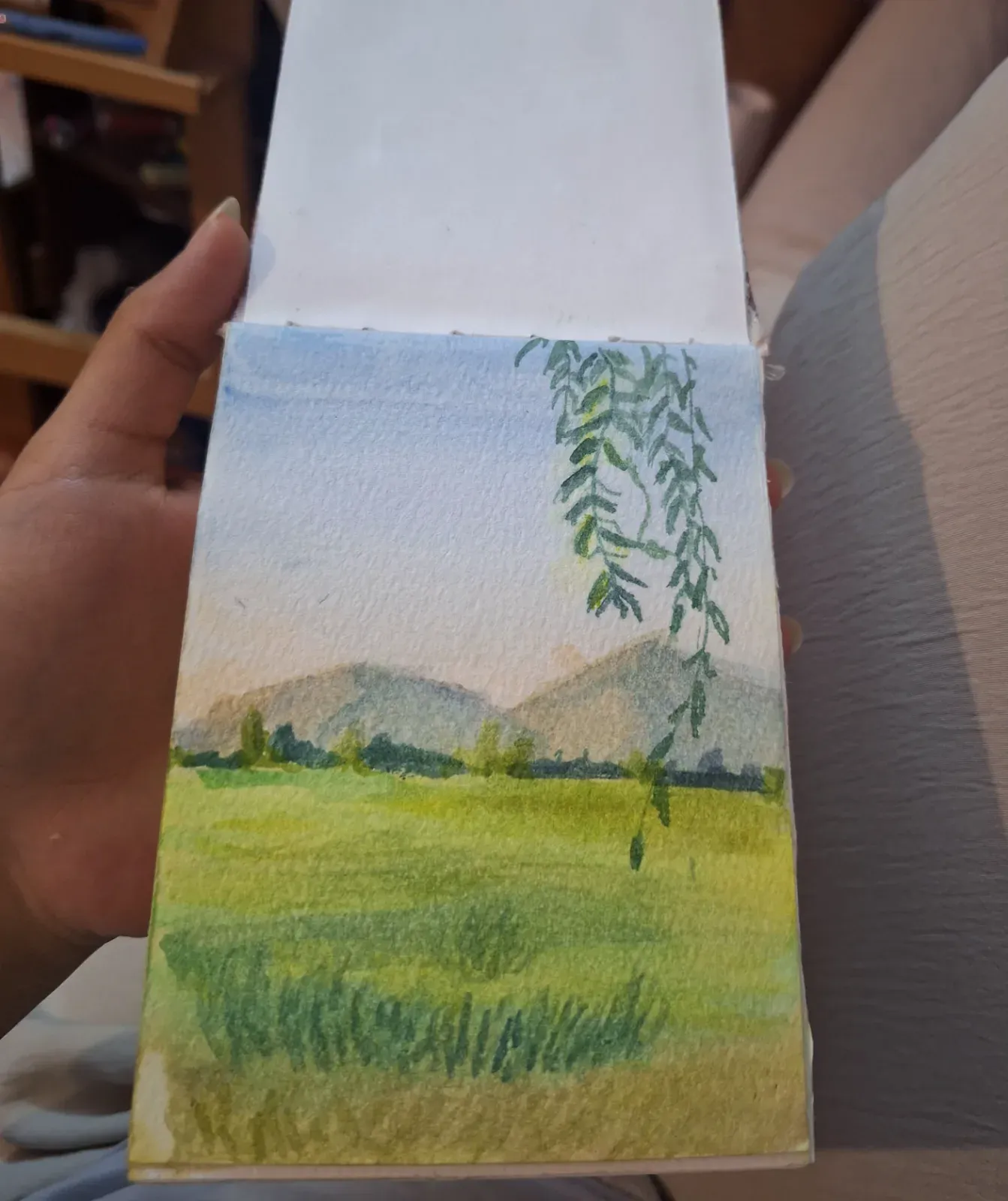 Mountains