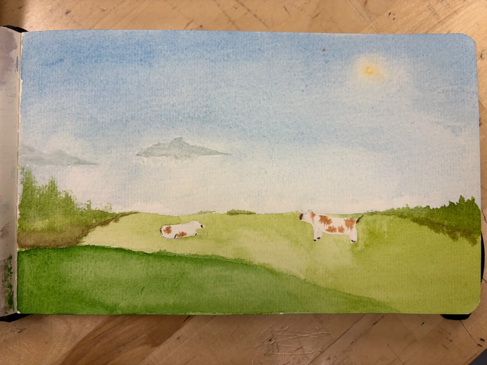 Cows