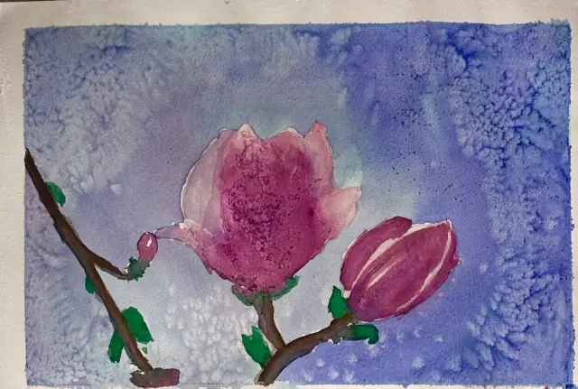 Magnolia