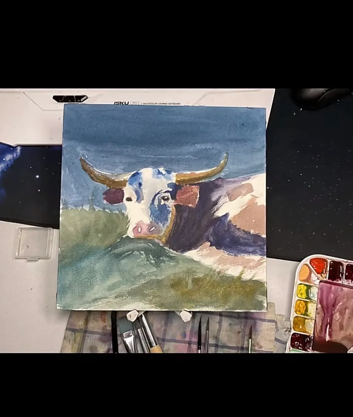 Laying cow eating grass