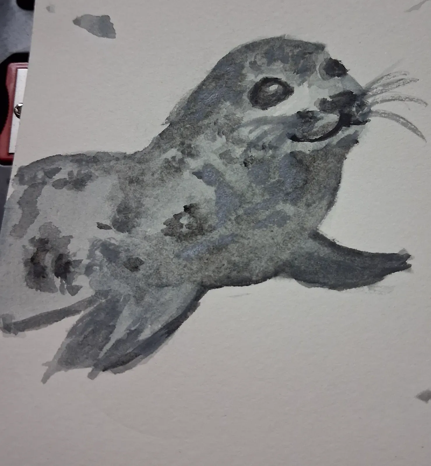 Seal