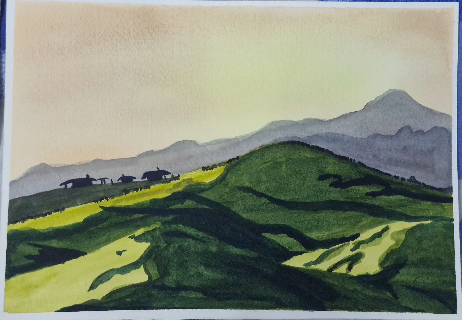 Hills