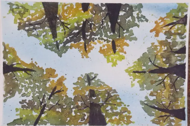Fall