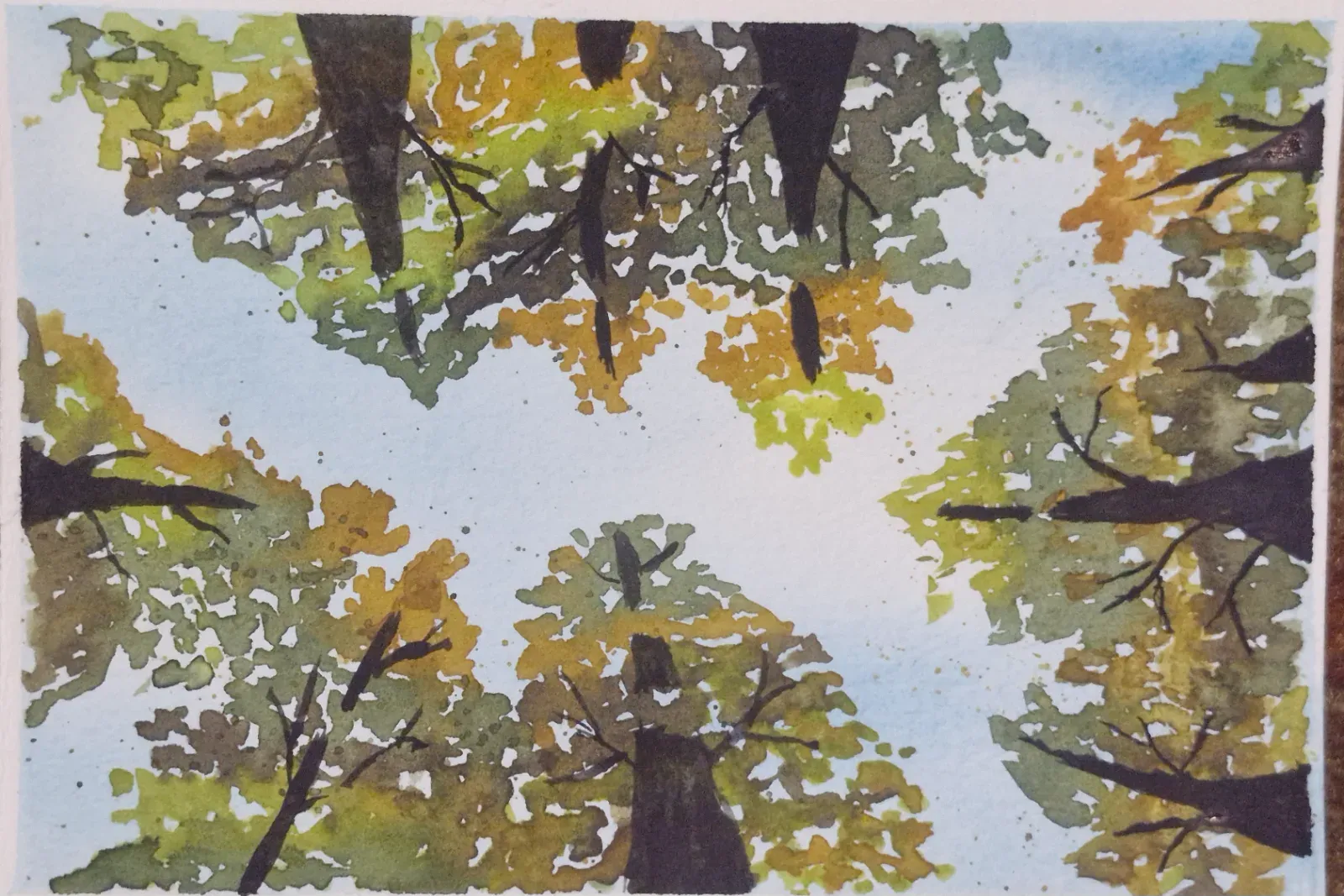 Fall