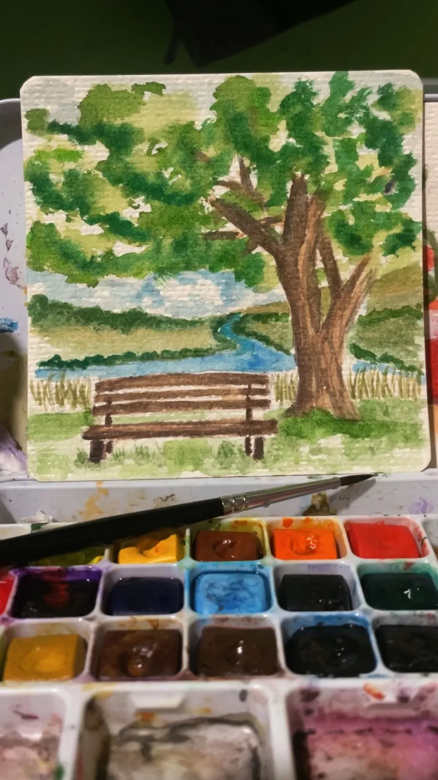 NATURE PARK