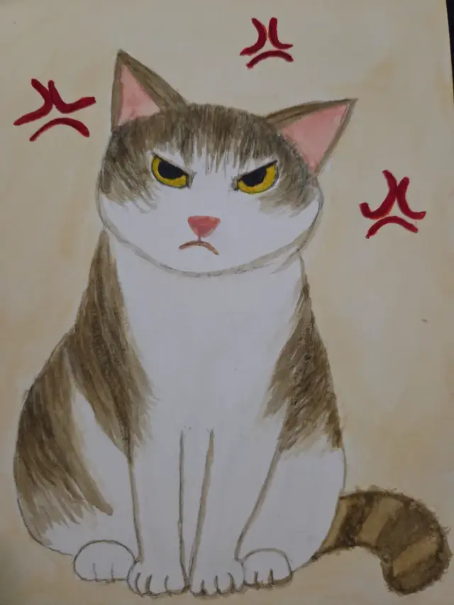 Angry Cat