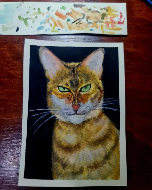 Orange =angry cat