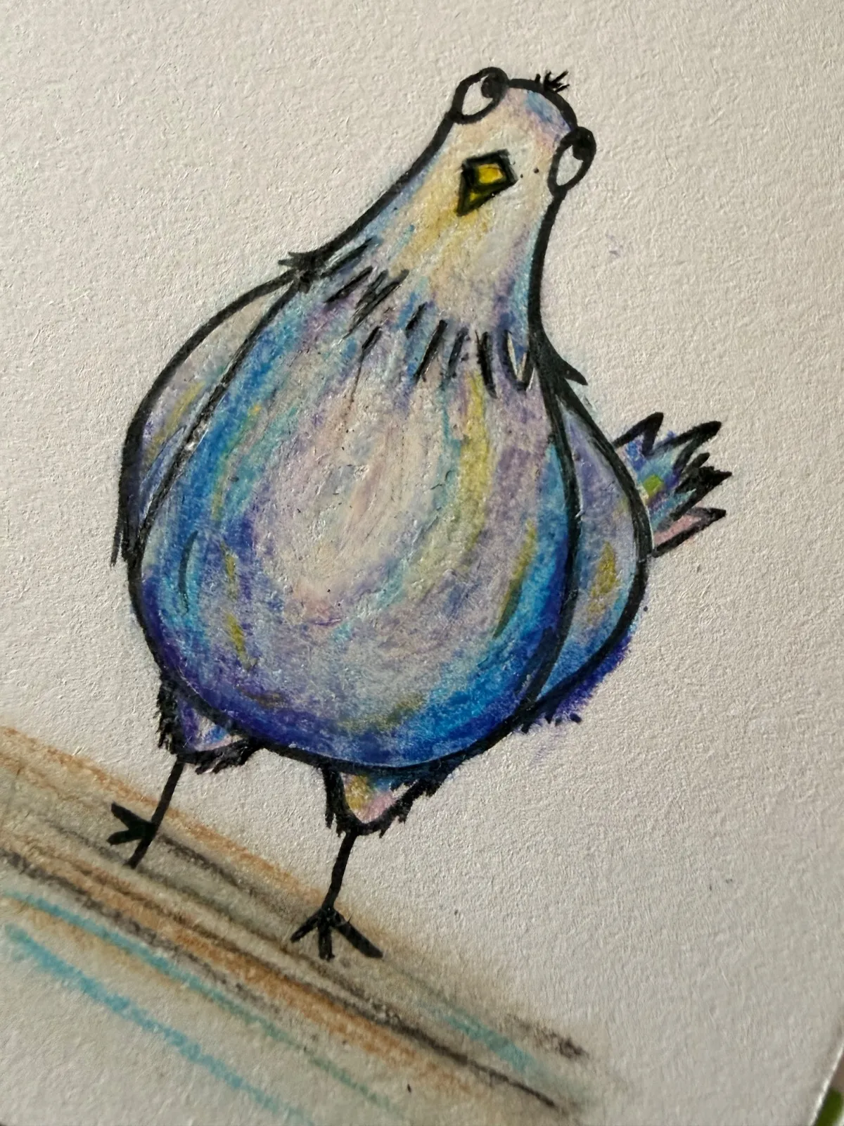 Pigeon