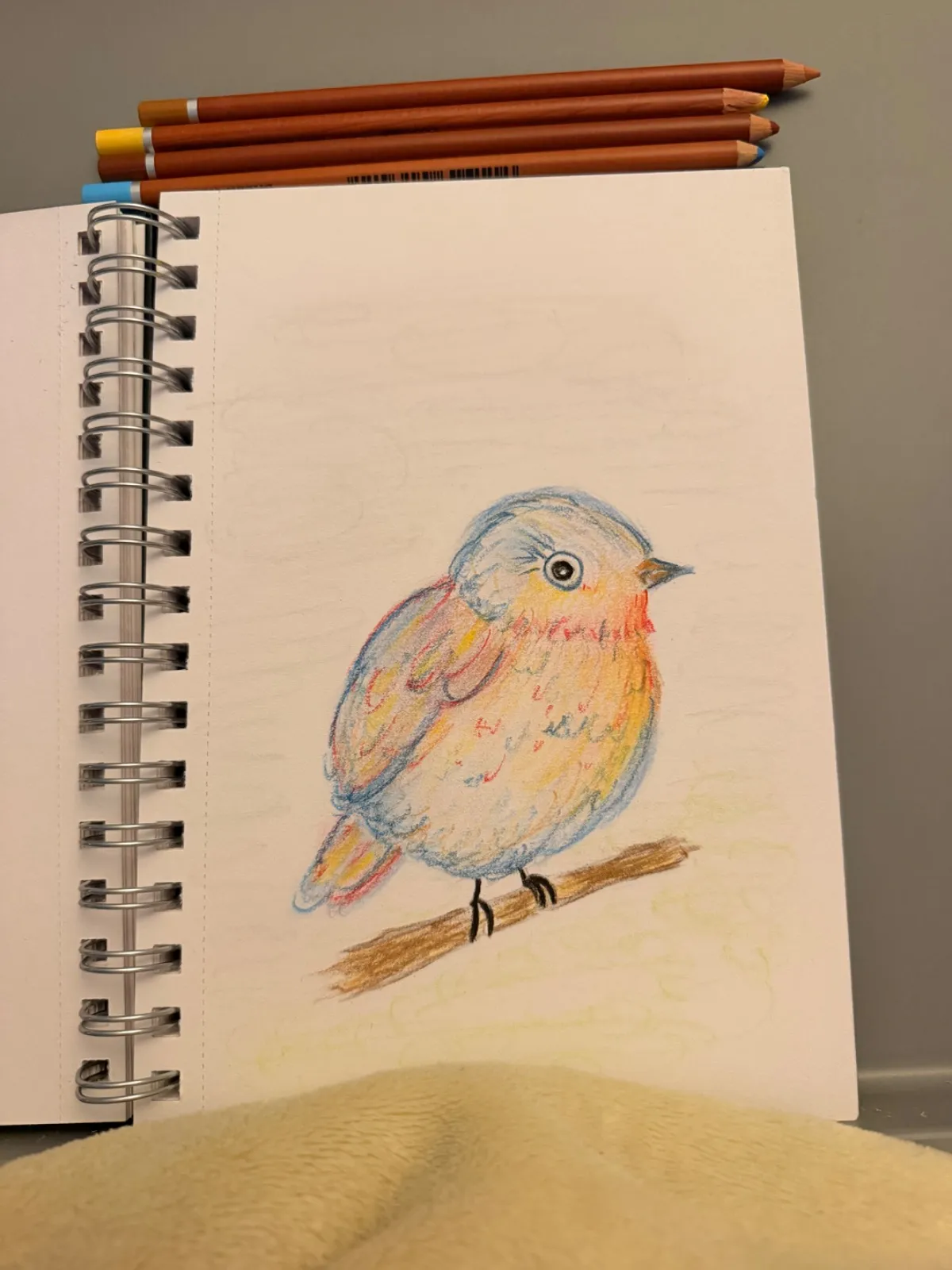 Puffy bird