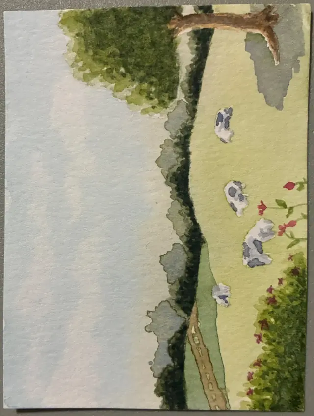 Cows